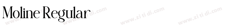 Moline Regular字体转换
